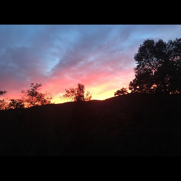 Meet your Posher, Angie - Picture 1 of 1